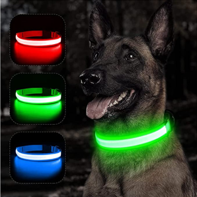 Adjustable LED Dog Collar